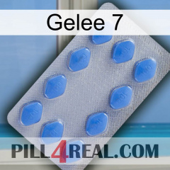 Jelly 7 21